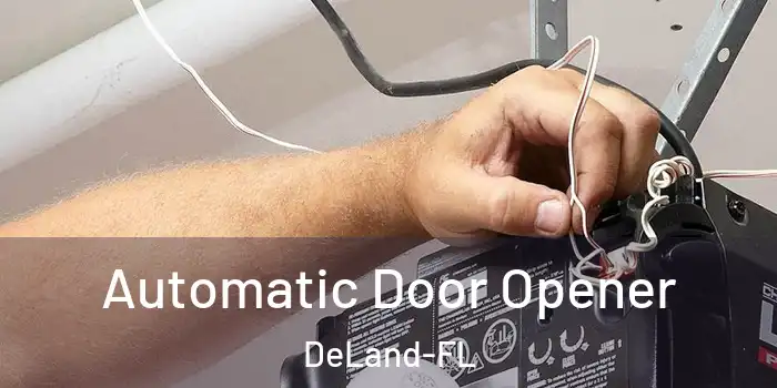  Automatic Door Opener DeLand-FL