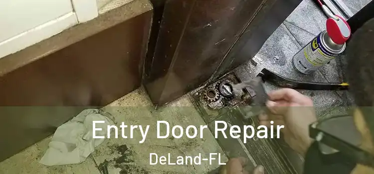  Entry Door Repair DeLand-FL